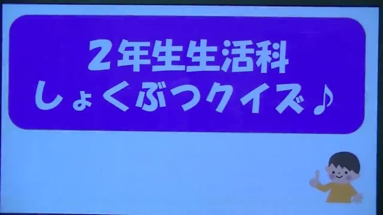 2年生生活科クイズ