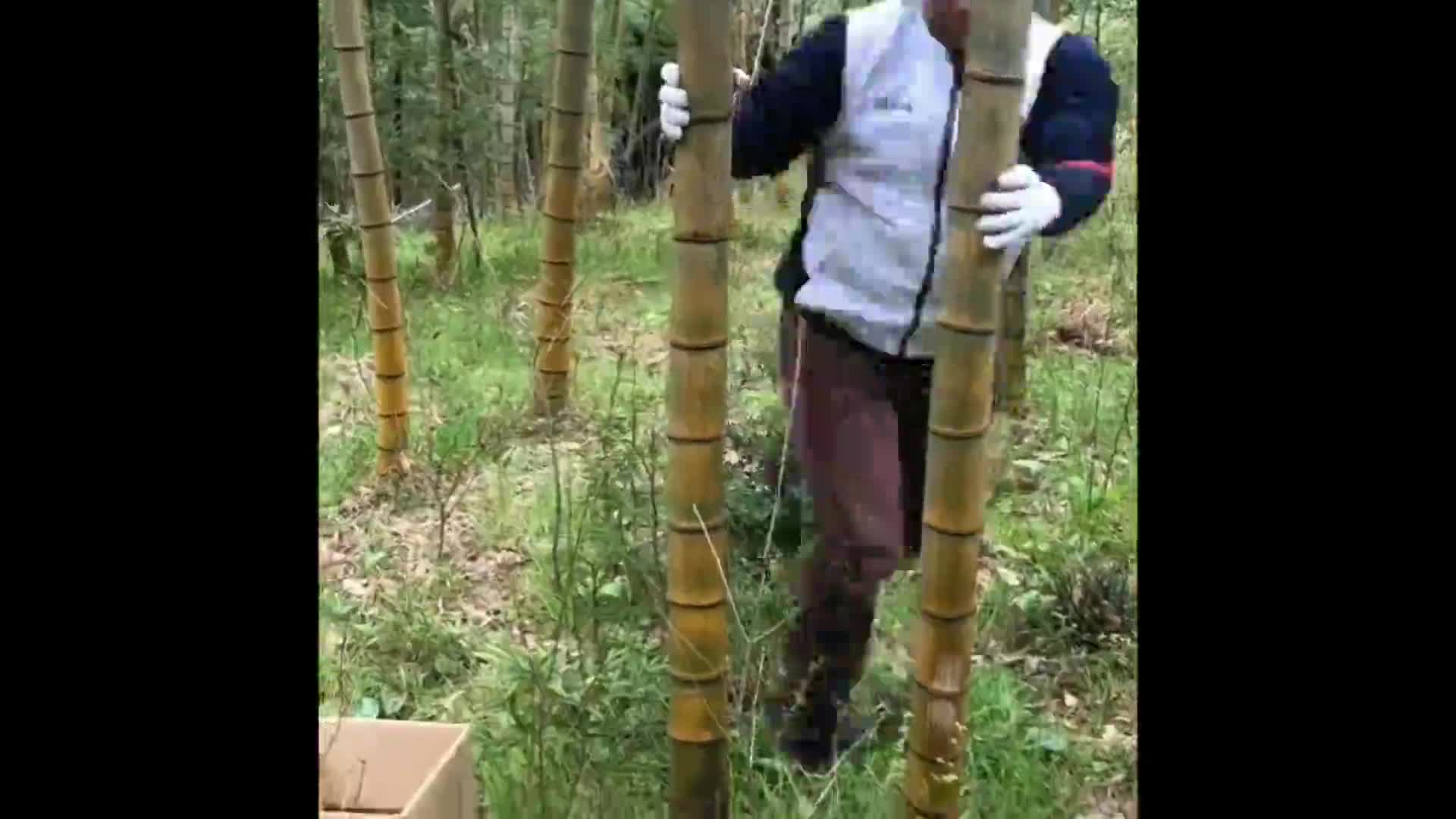 いつでも打ち込み！