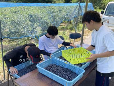 能登町ブルーベリー普及センター