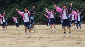 ピンク団（赤団、白団合同演））