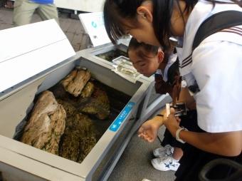 自主プラン上野動物園